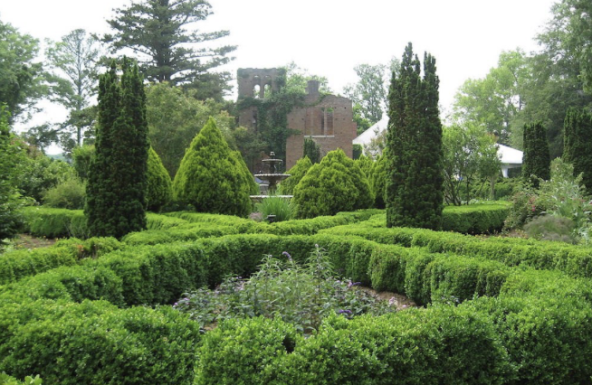 Formal boxwood hedge garden with evergreen trees and a historic stone ruin behind