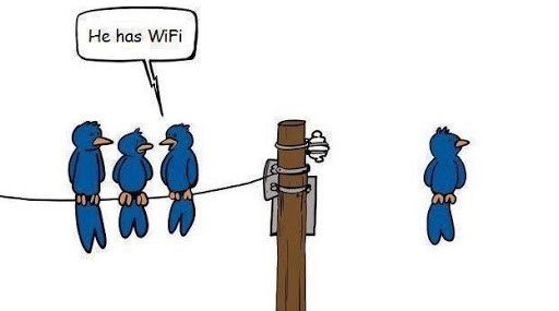 Cartoon of birds on a wire saying "He has WiFi" about a lone bird floating without a wire